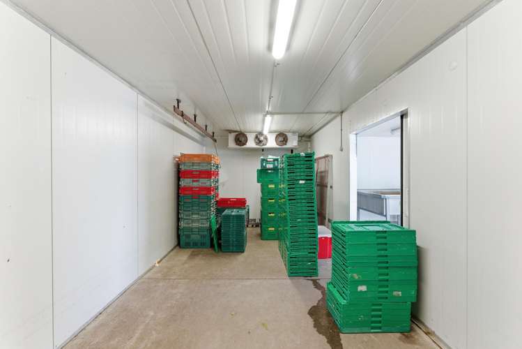 16 Lupton Street Waverley_14