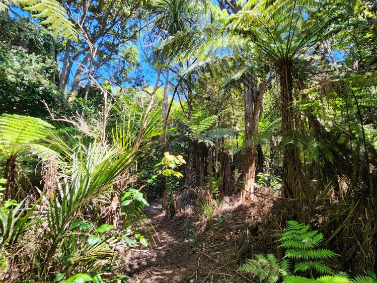 15 Mackay Lane Waipu_18