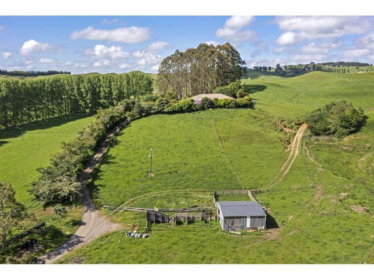 80 State Highway 3 Piopio_25