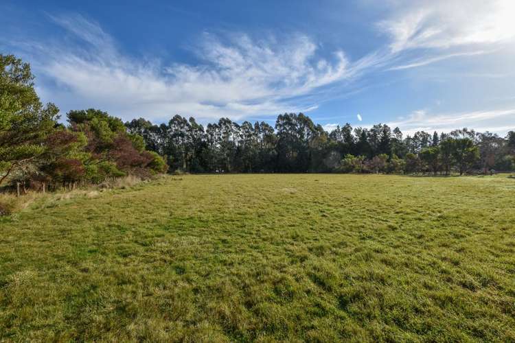114 Tararua Drive Masterton_5