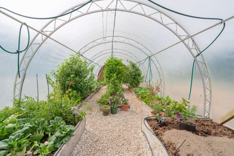 454b Te Anau Milford Highway Te Anau_22