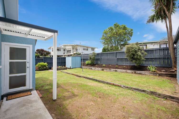 50a Springfield Road Springfield_15