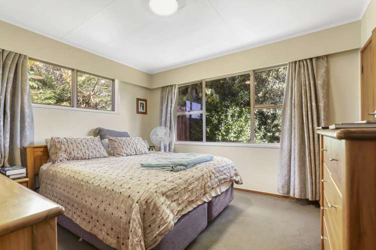 15 Taiporutu Place Springfield_7