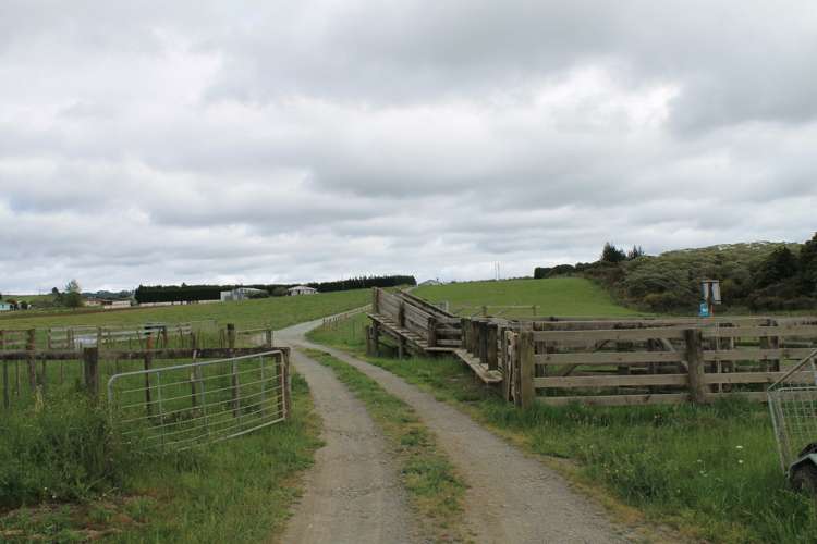 4586 State Highway 12 Kaikohe_5