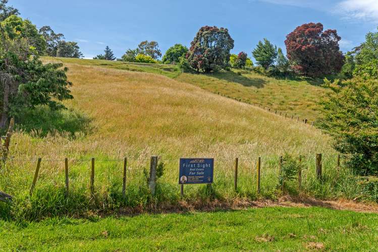 24 Montrose Street Kaiti_7