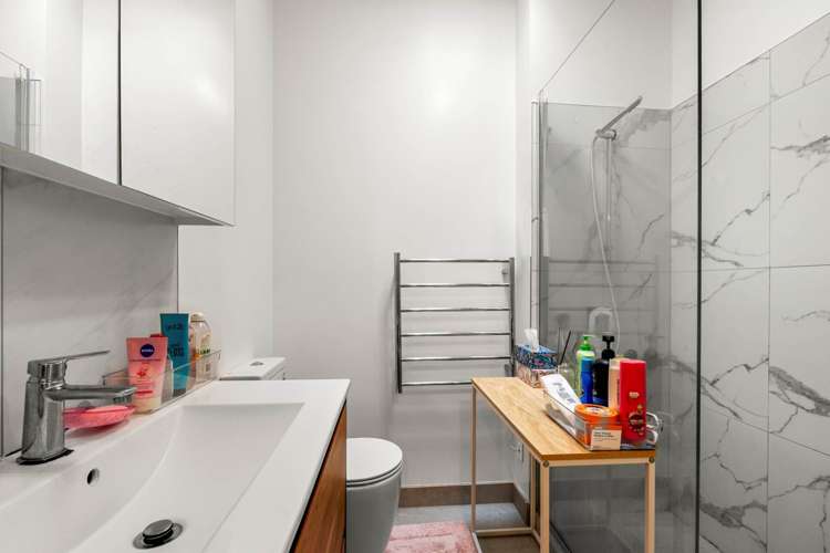 17C Domain Road Panmure_7