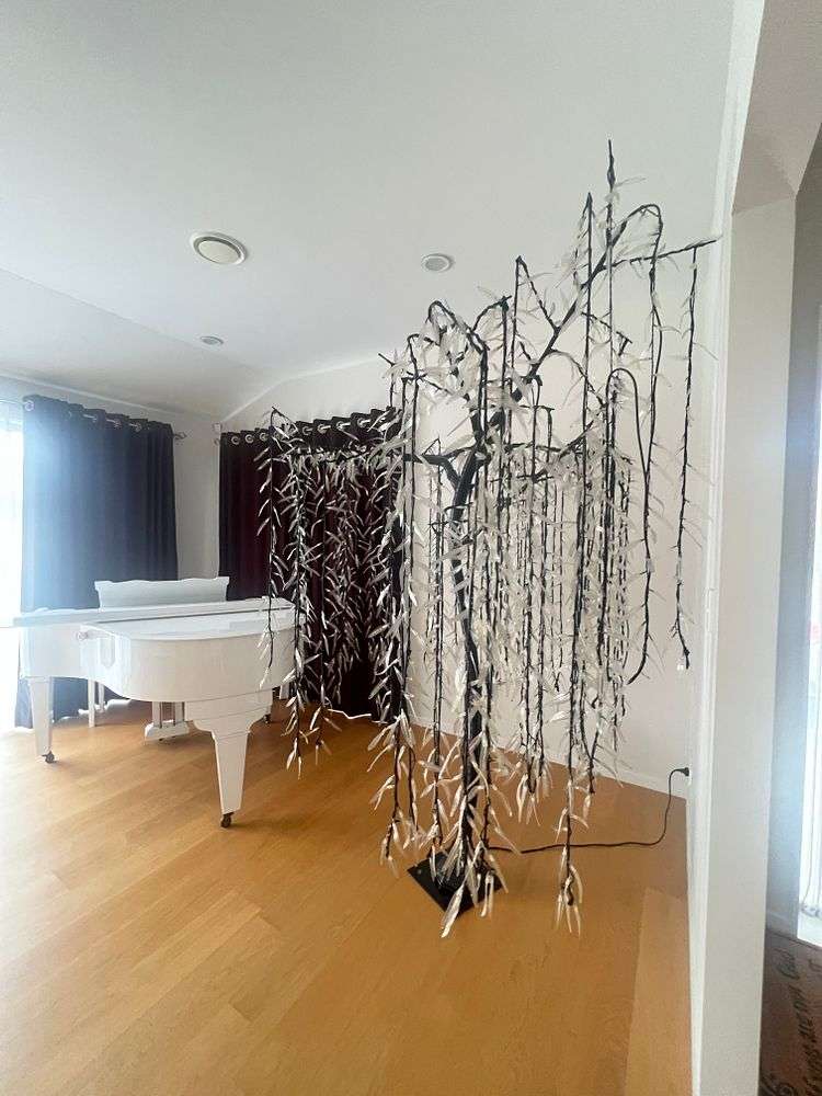 36 Golden Morning Drive Albany Heights_7