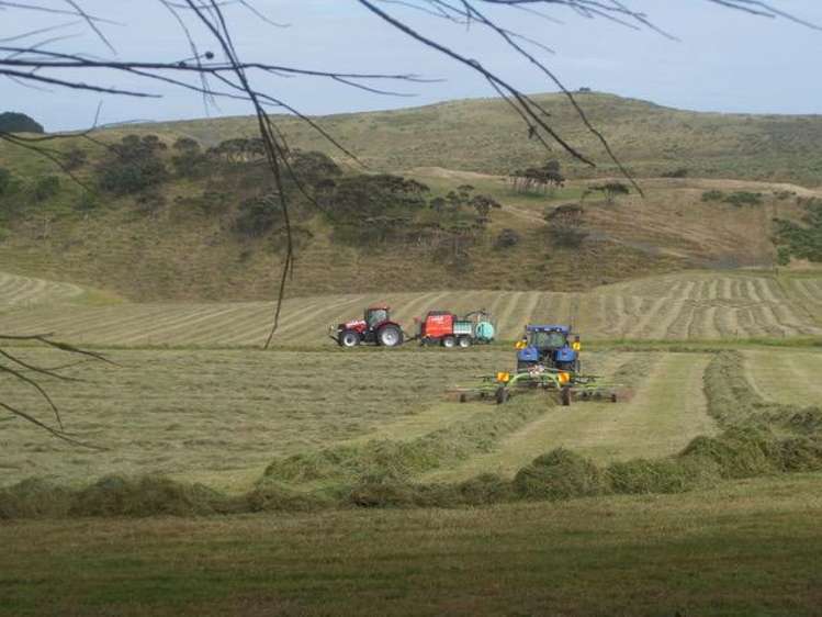 88 Lake Road Kawhia_17