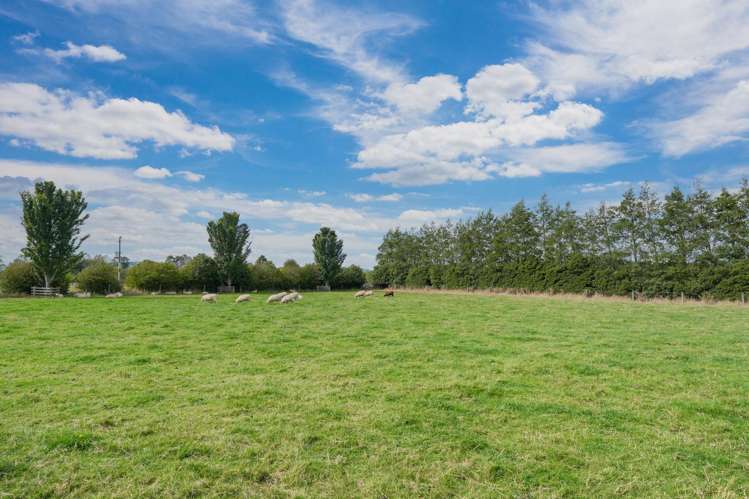 232 Crow Road Thomsons Crossing_25