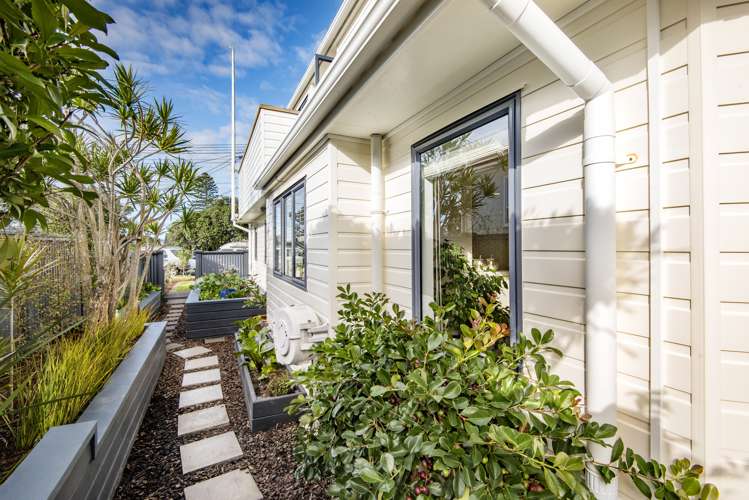 24a Niccol Avenue Narrow Neck_19