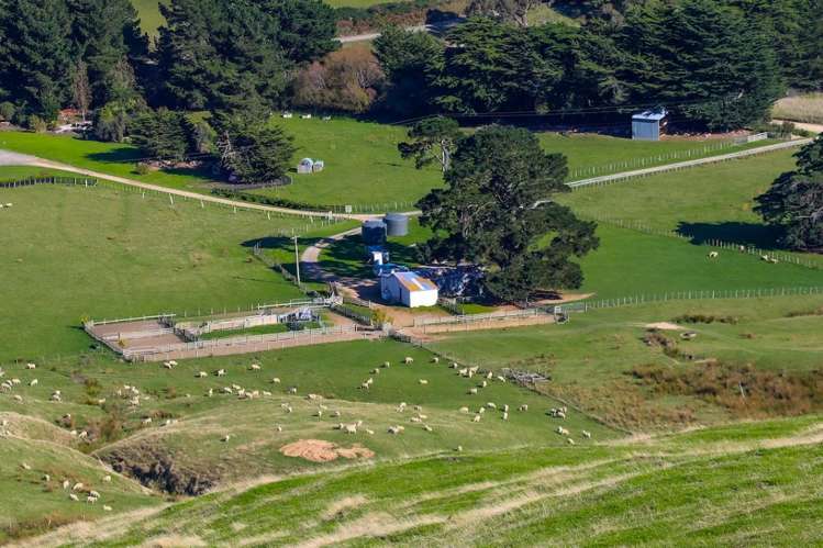 463 Waihi Valley Rd Dannevirke_4