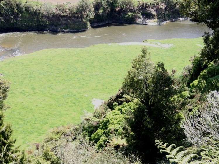 Otaraoa Road Tarata_14