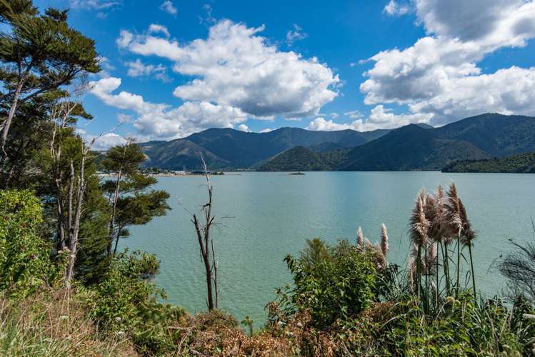 131 Queen Charlotte Drive Havelock_5