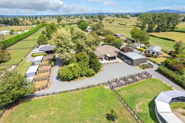 4602A State Highway 29 Matamata_5