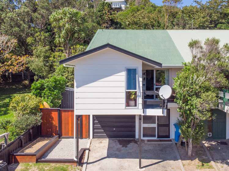 107c Fraser Avenue Johnsonville_13