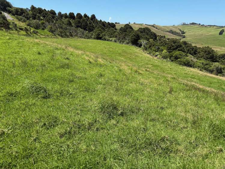 860 Kaiwaka-Mangawhai Road Kaiwaka_7