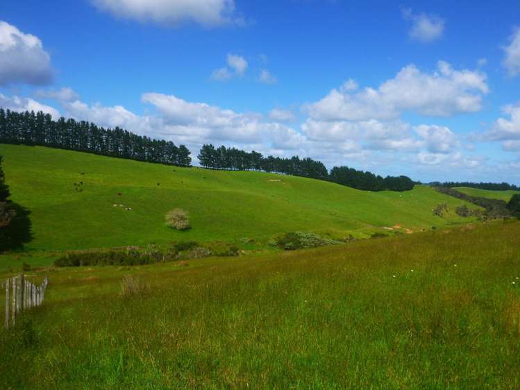 372 Cable Bay Block Road Cable Bay_10