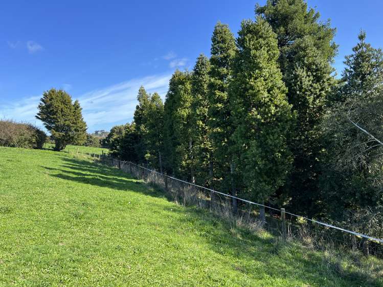 678 Waiuku Road Mauku_8