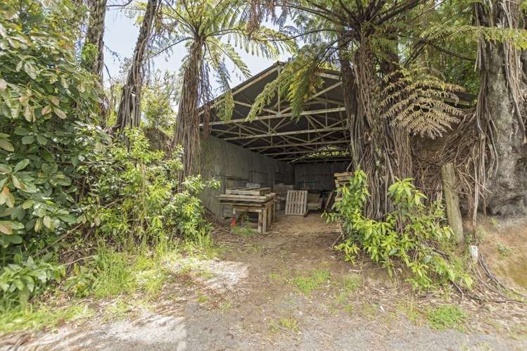 263a Ruahihi Road Kaimai_23