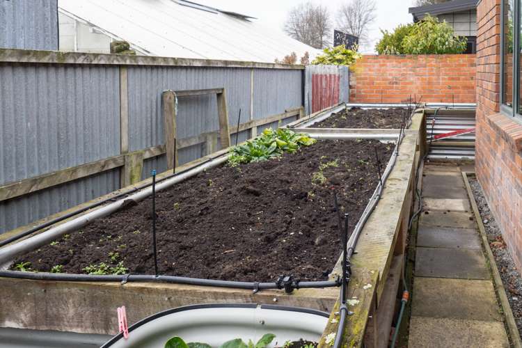 11 Walnut Avenue Allenton_21