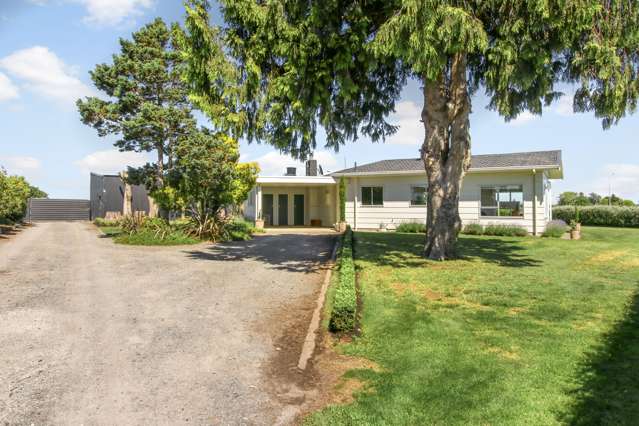 133 York Road Longlands_3