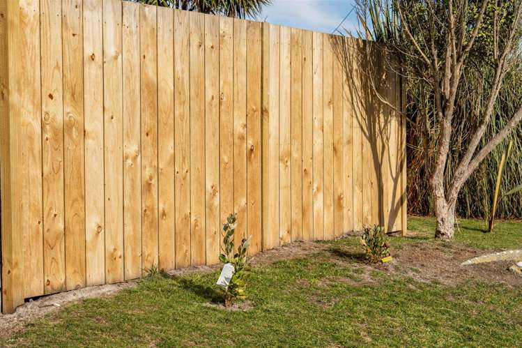 31 Toko Mouth Domain Road Milton_2