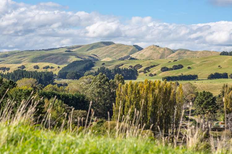 388 Ruakokoputuna Road Ruakokoputuna_3