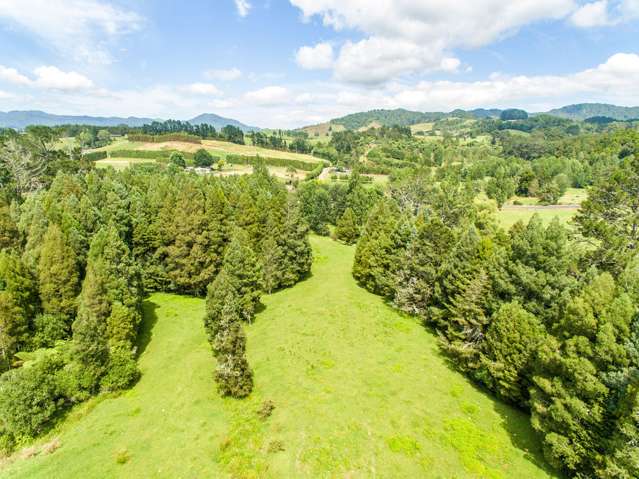 210 Waitekauri Road Waikino_2