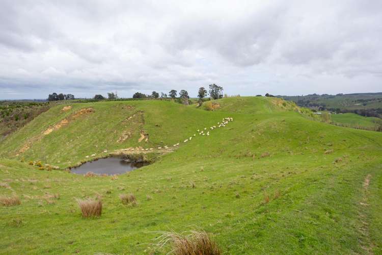 1250 Kaukatea Valley Road Okoia_15