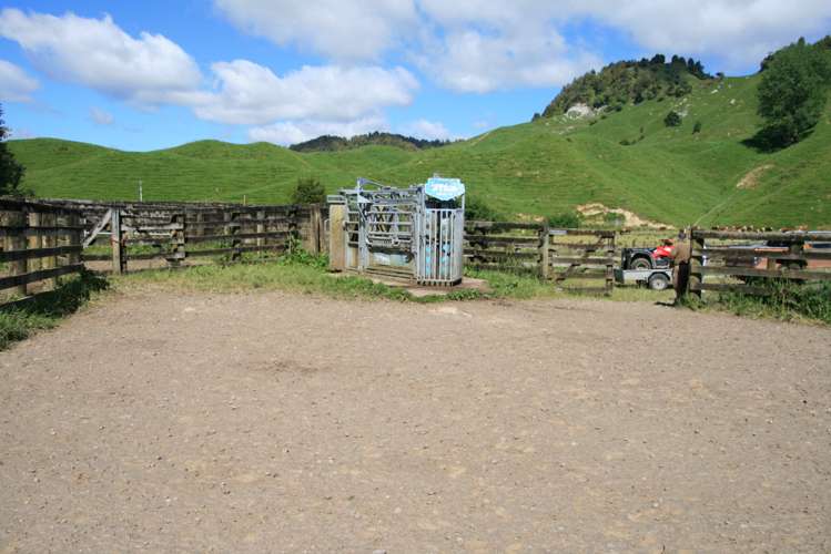 5 Marco Road Ruapehu-King Country Surrounds_13
