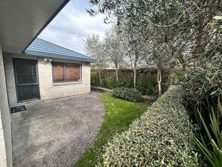 42c Dublin Street Pukekohe_11