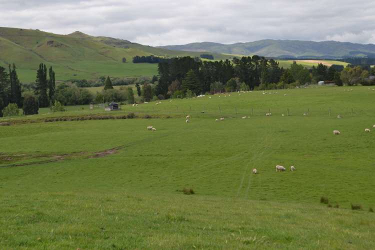 227 Overtons Road Scargill_0