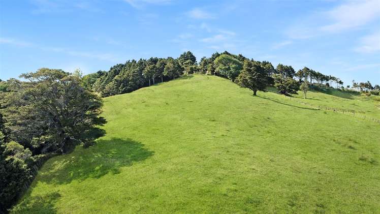 585 West Coast Road Kohukohu_3