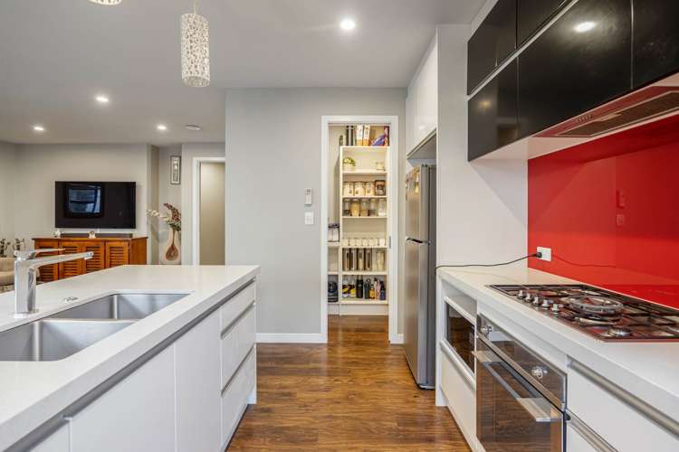 23 Gumdigger Rise Millwater_18