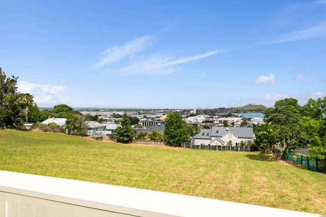 75l Hill Street Onehunga_2