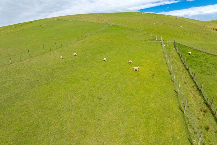 65 Gabriels Gully Road Lawrence_8