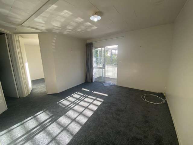 17A Tauhinu Road Greenhithe_2