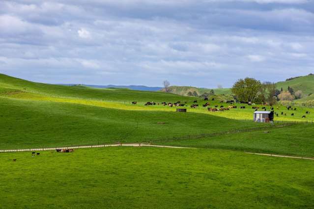 310 Paparamu Road Piarere_2