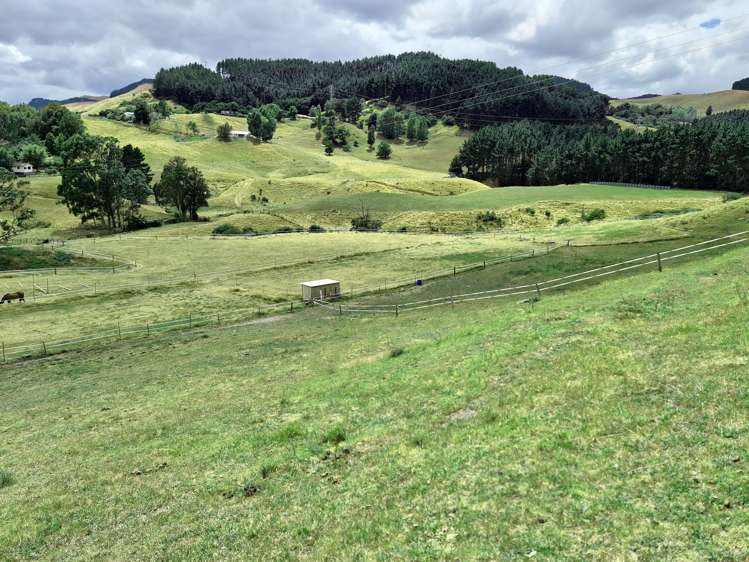 48a Bennett Street Paeroa_10