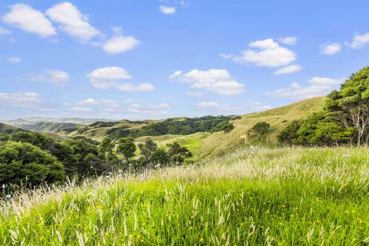 2368 Wairamarama Onewhero Road Glen Murray_20