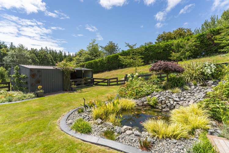 139 Palmer Mill Road Wairakei_17