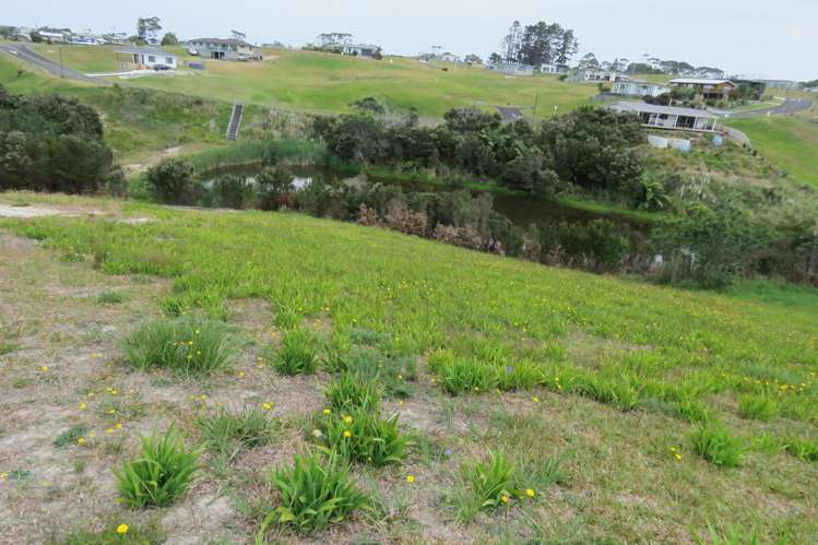 63 Banyan Road Karikari Peninsula_5