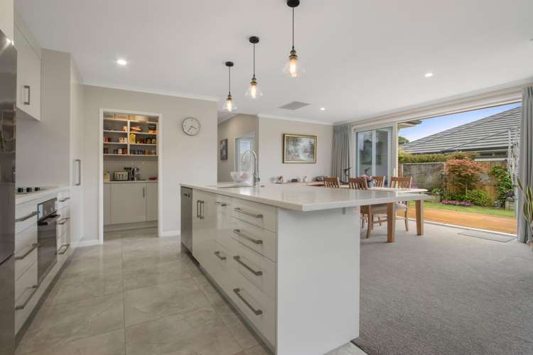 4 Friis Drive Katikati_2