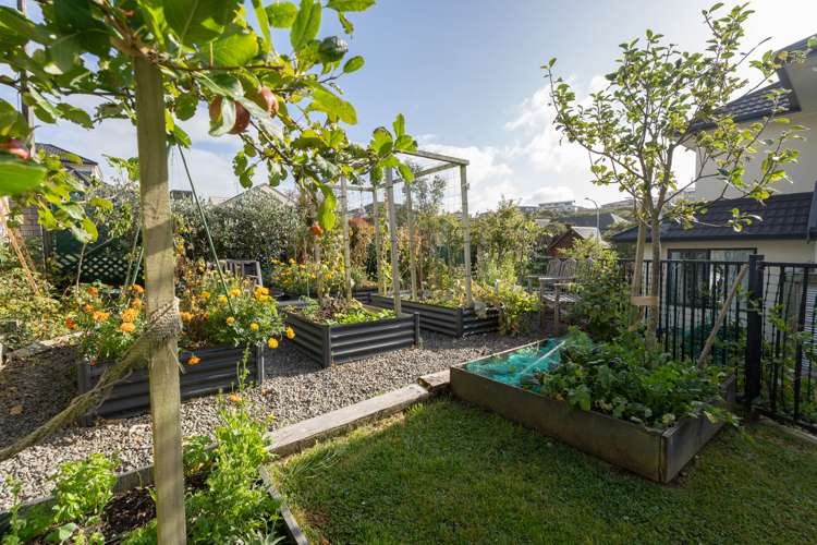 7 Amesbury Drive Churton Park_31