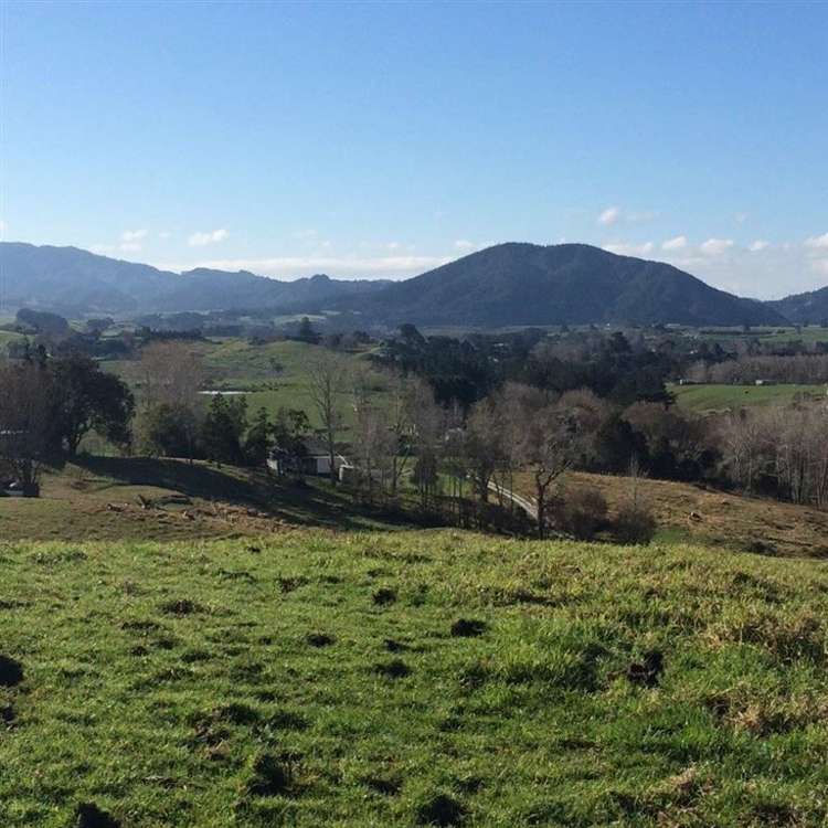 62 Kiwi Lane Kaiwaka_8