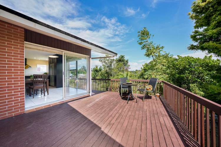 8 Tropicana Drive Mt Roskill_2