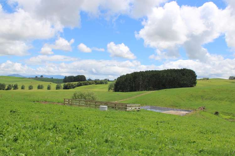 1250 Arapuni Road Parawera_11