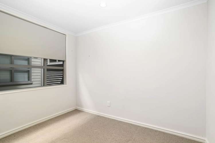 25p George Street Mount Eden_5