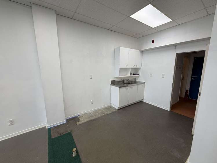 Ground/40 Jervois Road Ponsonby_9