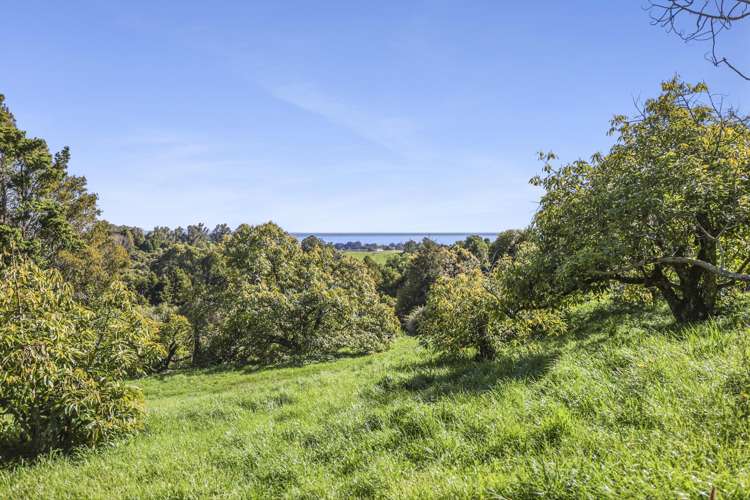 144A Rocklands Road Clifton_8